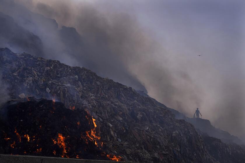 FILE - A person picks through trash for reusable items as a fire rages at the Bhalswa landfill in New Delhi, April 27, 2022. A new United Nations report estimates that 19% of the food produced around the world went to waste in 2022. (AP Photo/Manish Swarup, File)