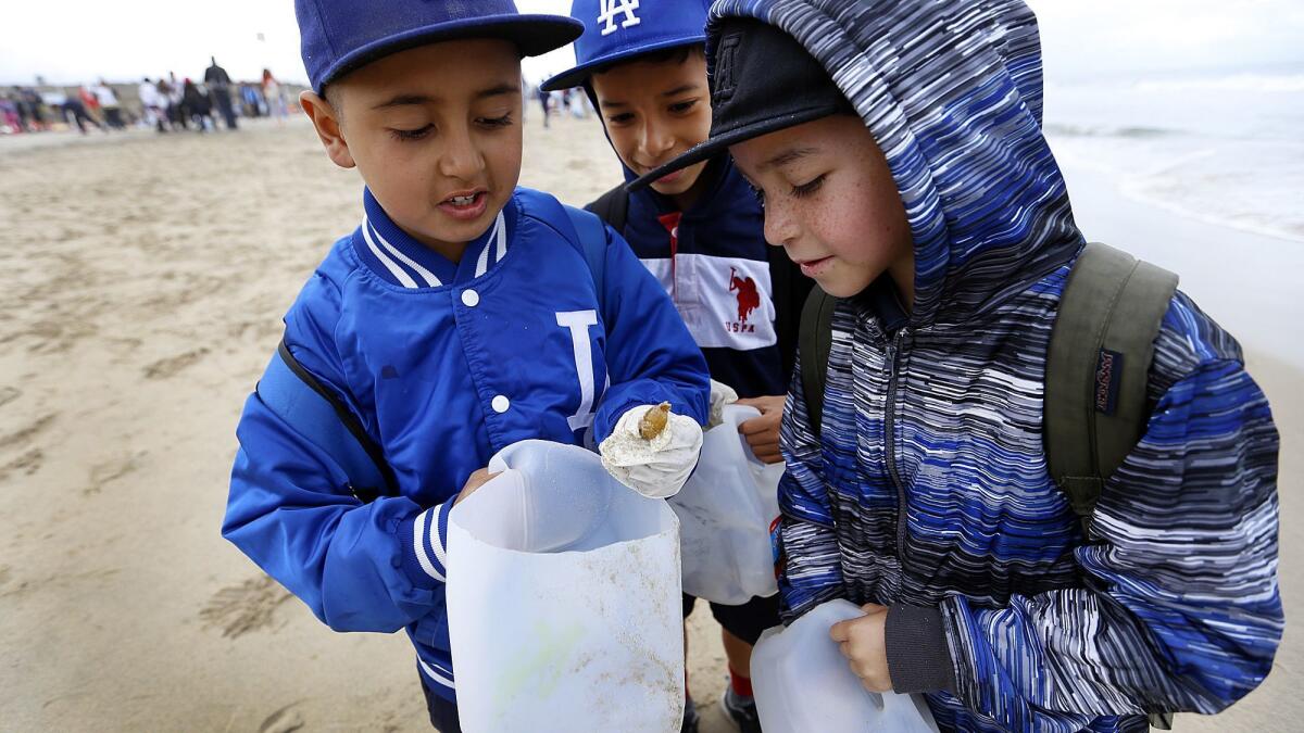 Alfredo Olvera, left, Anderson Ramirez, middle, and Joel Hernandez, right, were among 3,500 Los Angeles school children and teachers at an annual beach cleanup event at Dockweiler State Beach in Playa Del Rey in 2015.