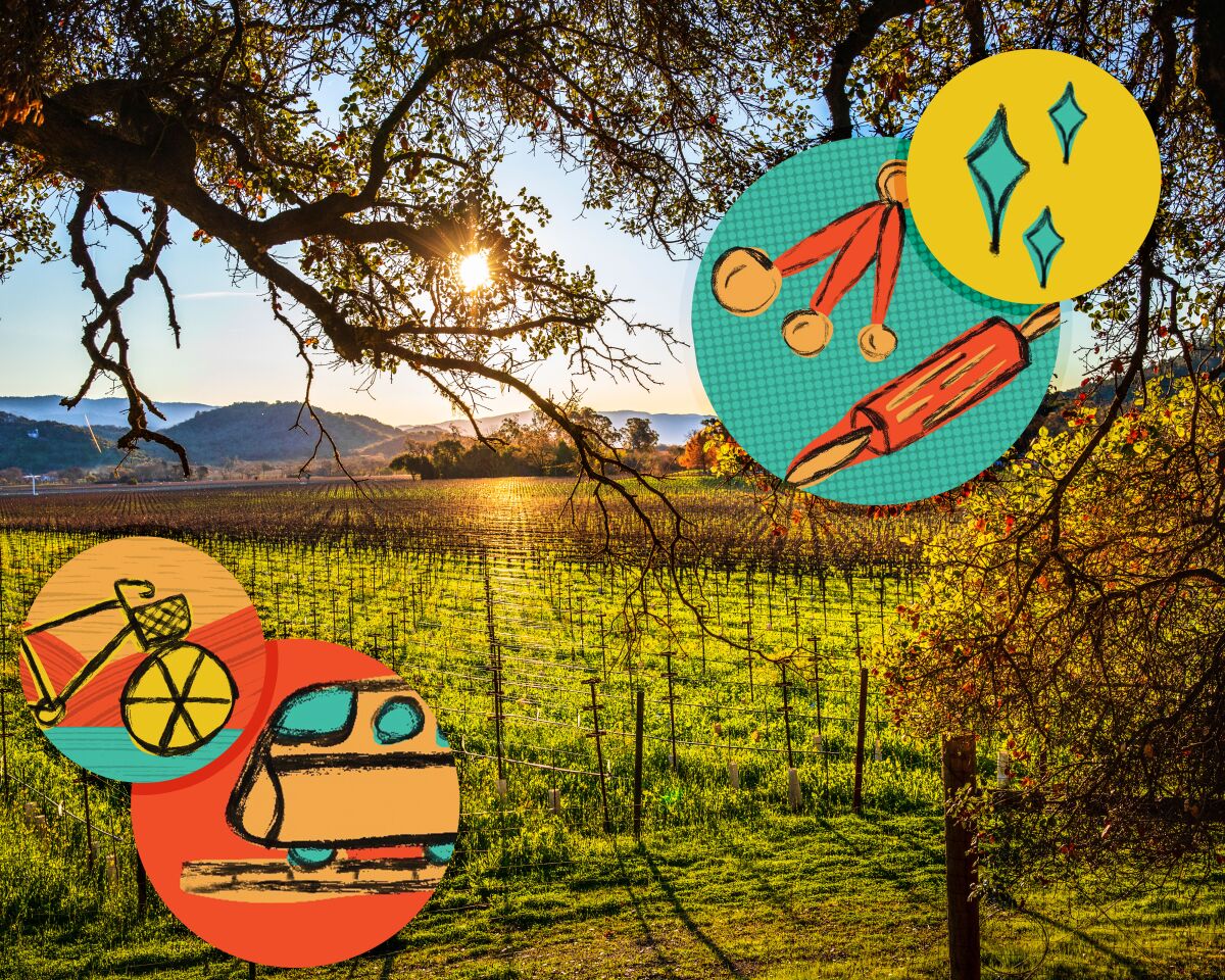 Roadside view of dormant grapevines and fencing with colorful illustrated circles featuring a train, rolling pin and more.