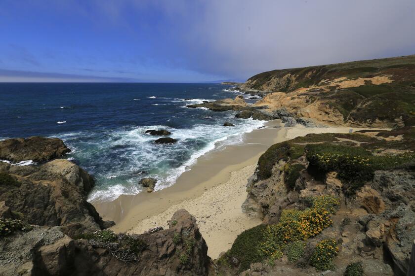 A scenic view looking down the coast at Bodega Head, Calif.