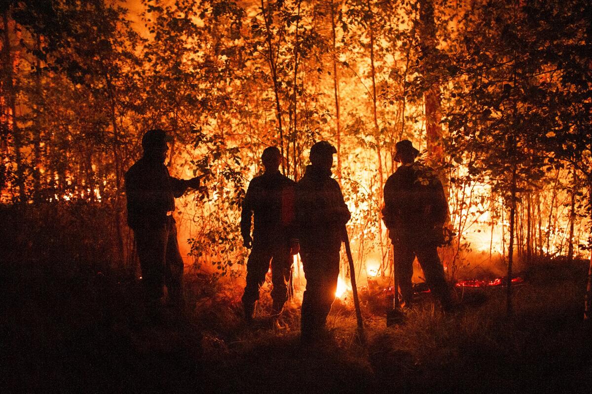Firefighters work at the scene of a forest fire 