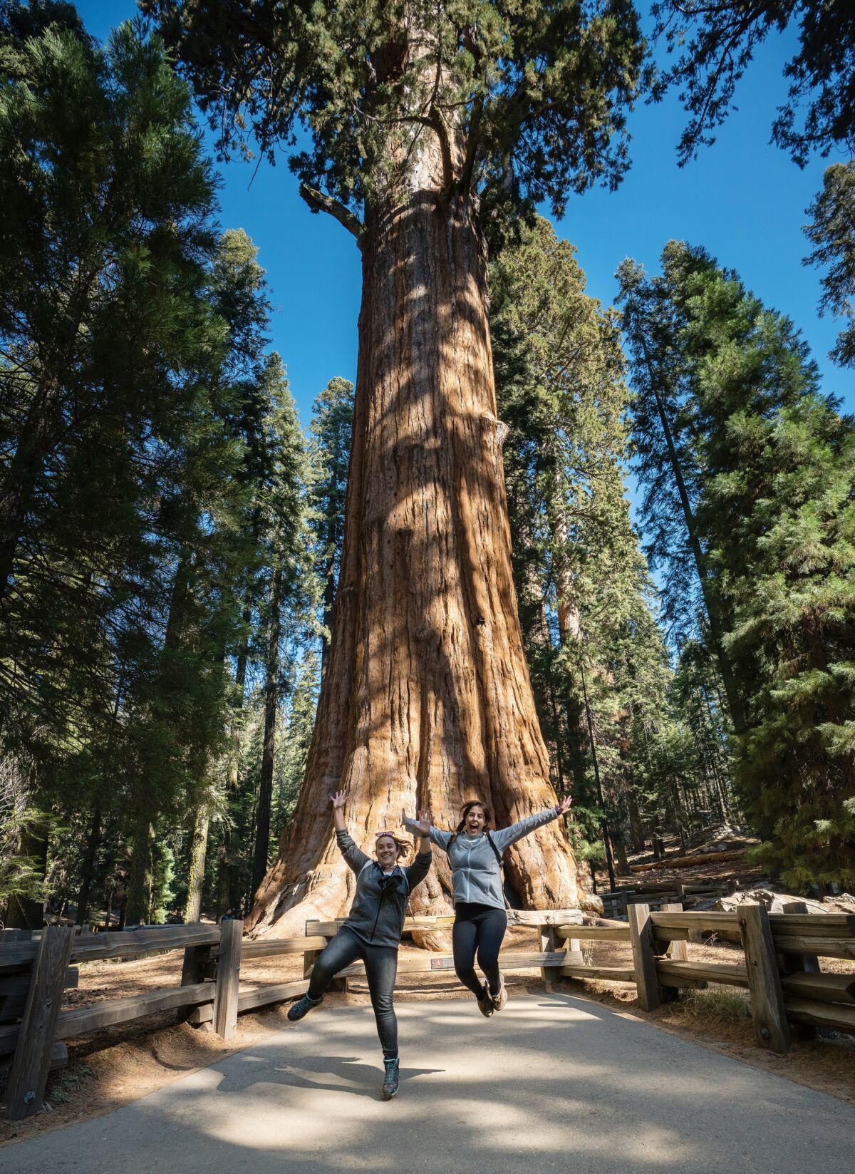 Eva Uceda Serralle and Raquel Lozano snap a photo with General Sherman, the world's biggest tree, during their recent visit from Spain.