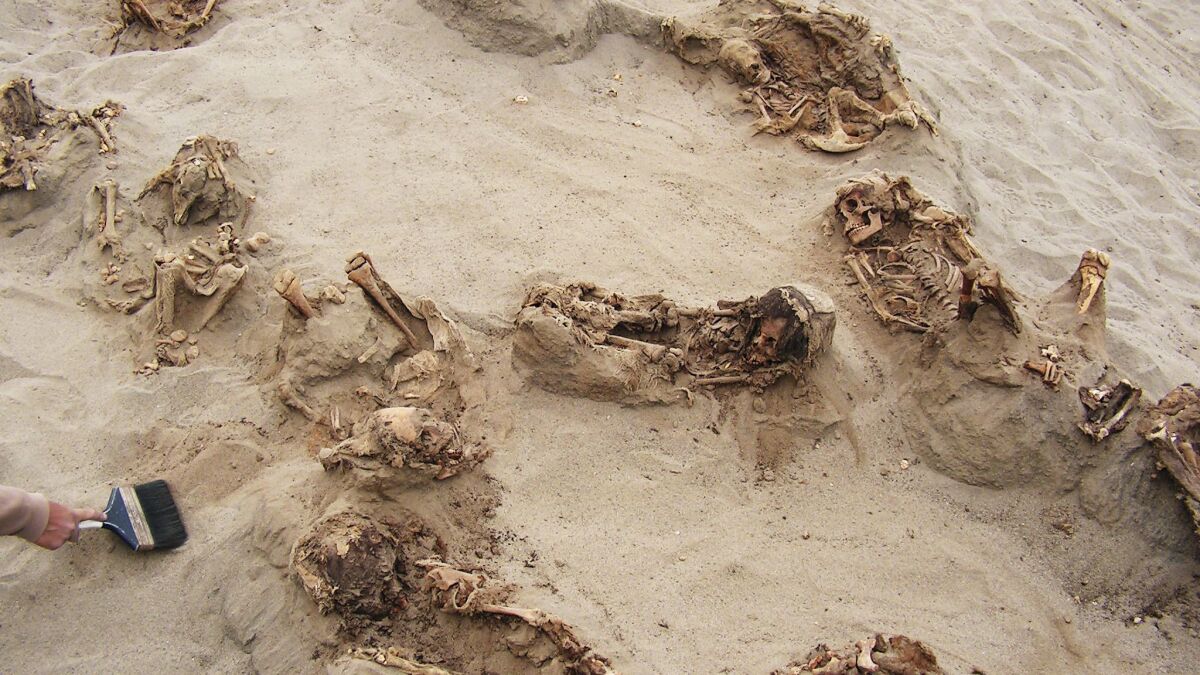 More than a dozen bodies lie preserved in dry sand at the Las Llamas site near Trujillo, Peru.
