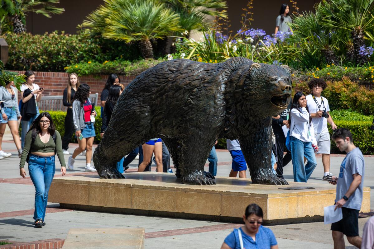 Students walk past a statue of the UCLA Bruin mascot