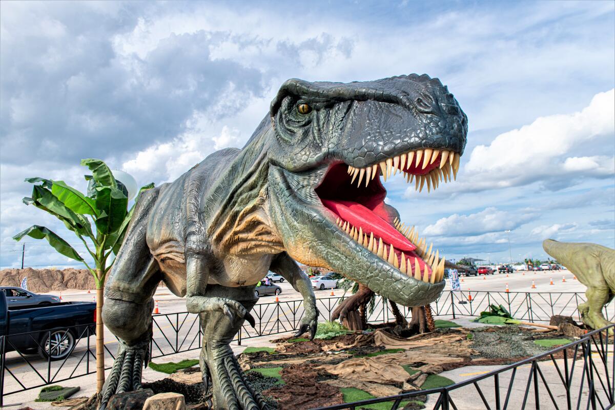 A Tyrannosaurus rex is one of 70 animatronic dinosaurs coming to the OC Fair & Event Center Feb. 5 through 14.