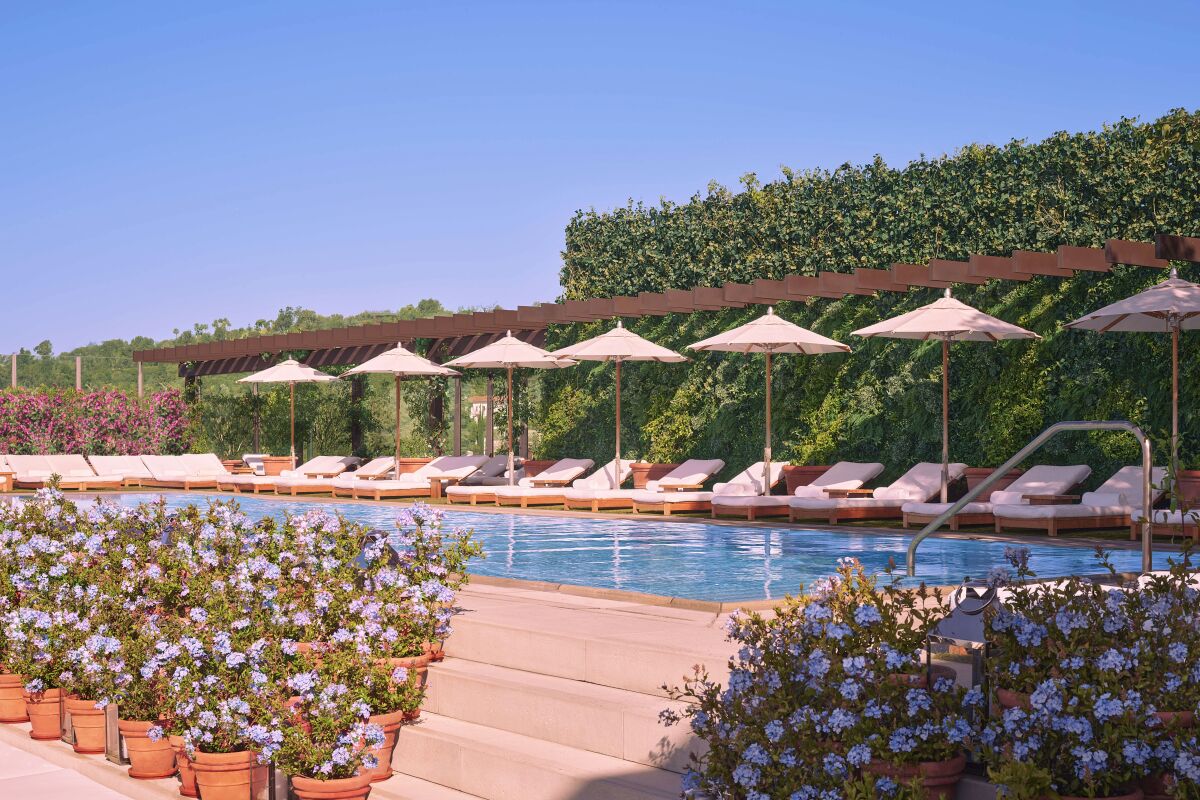 A pool surrounded by lounge chairs, umbrellas and flowering plants in pots