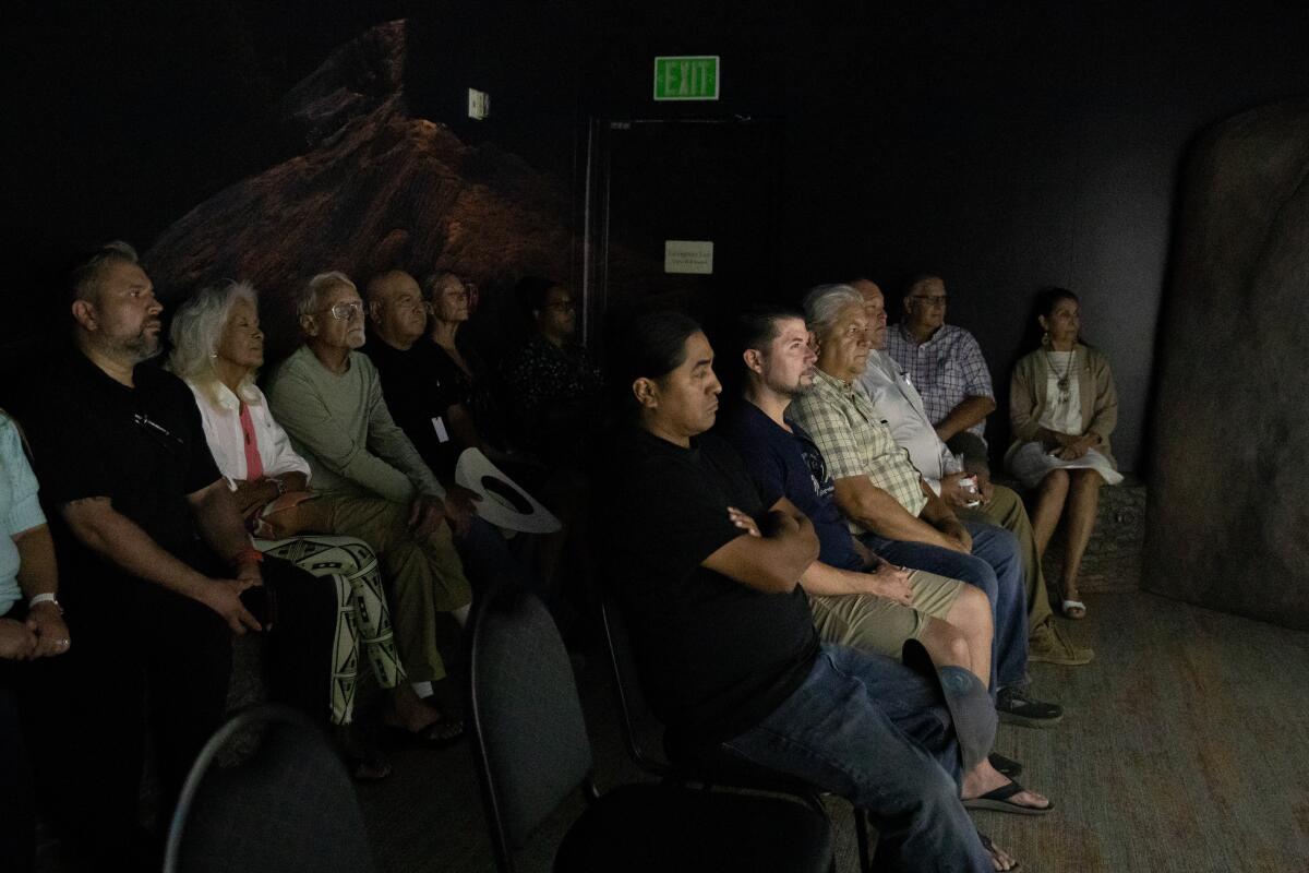People sitting in chairs watch the screening of a film in a dark room