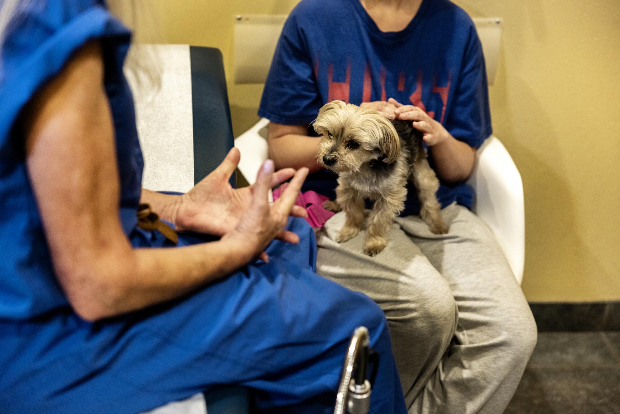 A 26-year-old patient from Phoenix strokes support dog Scooter in an exam room as Dr. Barbara Zipkin discusses her options. 