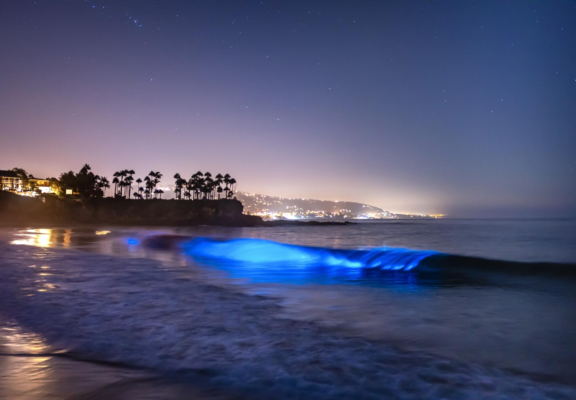 Bioluminescent glow in a wave as it heads toward a beach. In the background are trees and lights on a land outcropping.