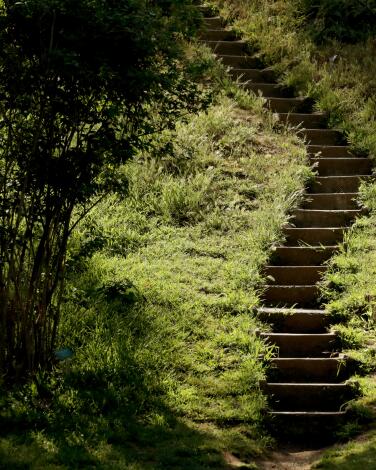 A set of stairs at the UC Riverside Botanic Gardens