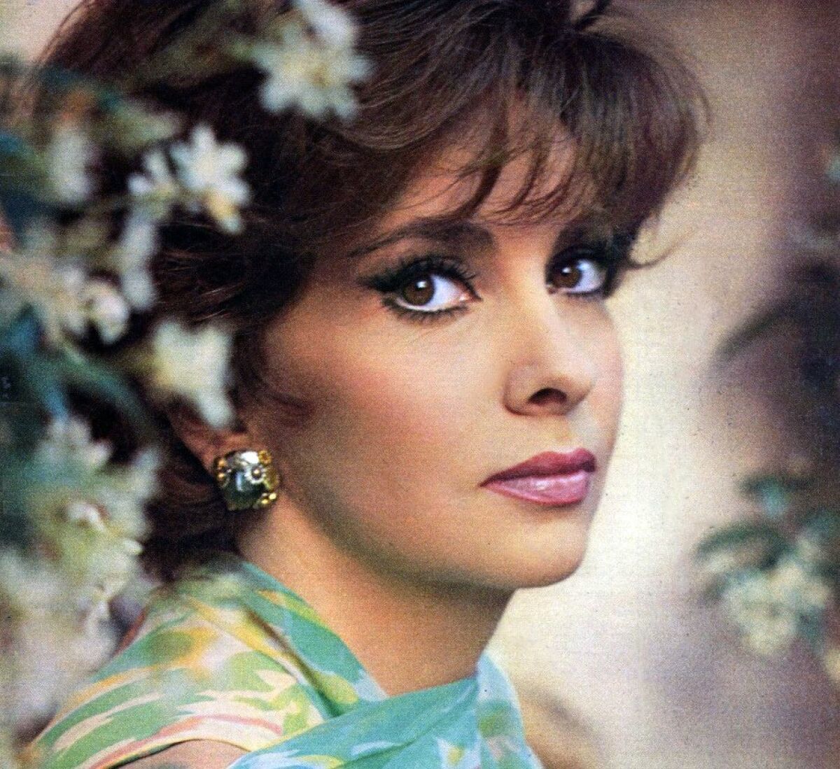 Gina Lollobrigida, known as the face of Italian film, dies - Los ...