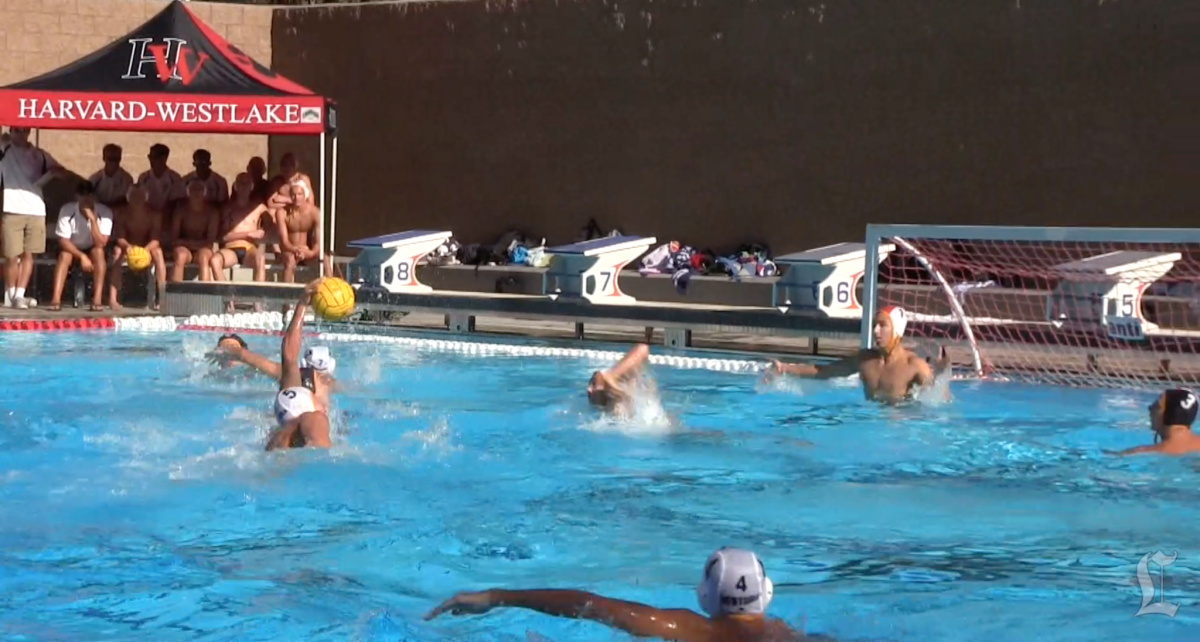 Harvard-Westlake water polo players