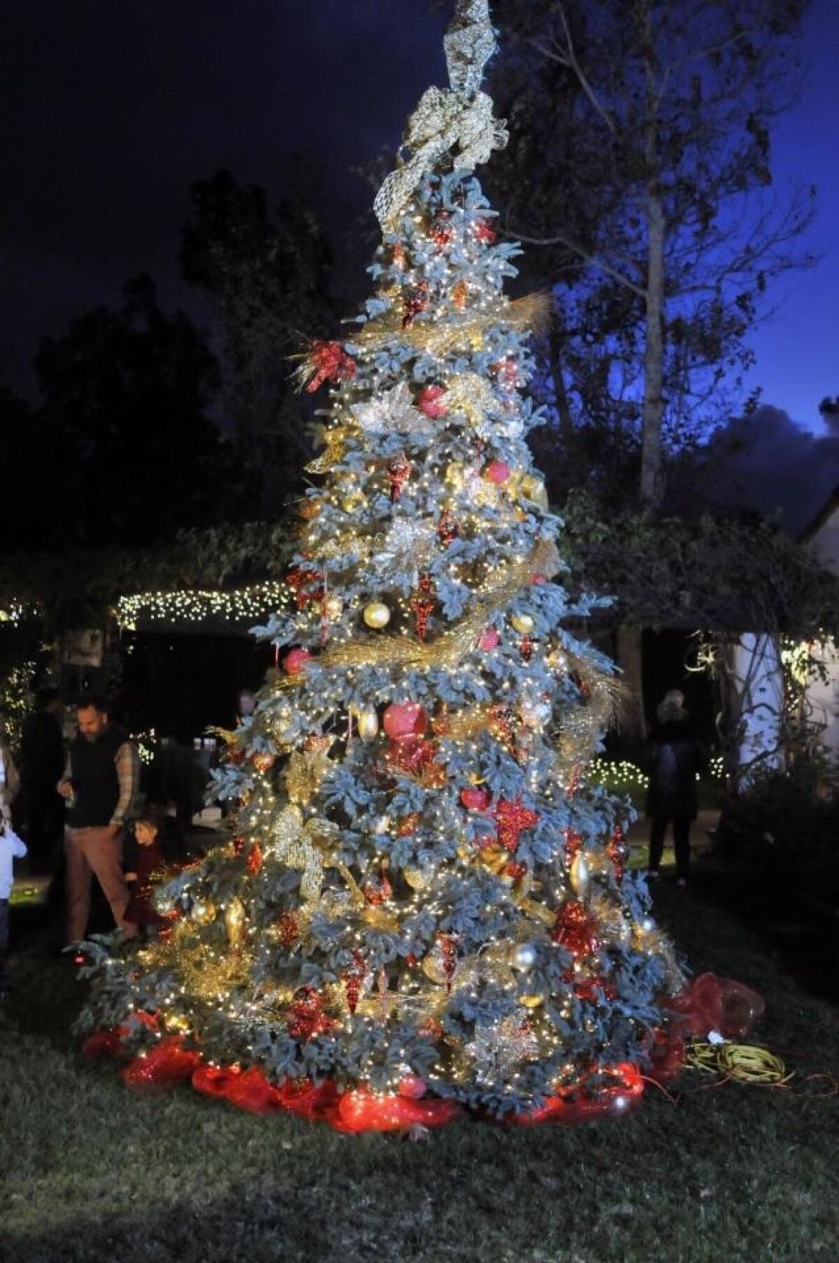 The finished tree at a previous RSF Golf Club tree lighting event.