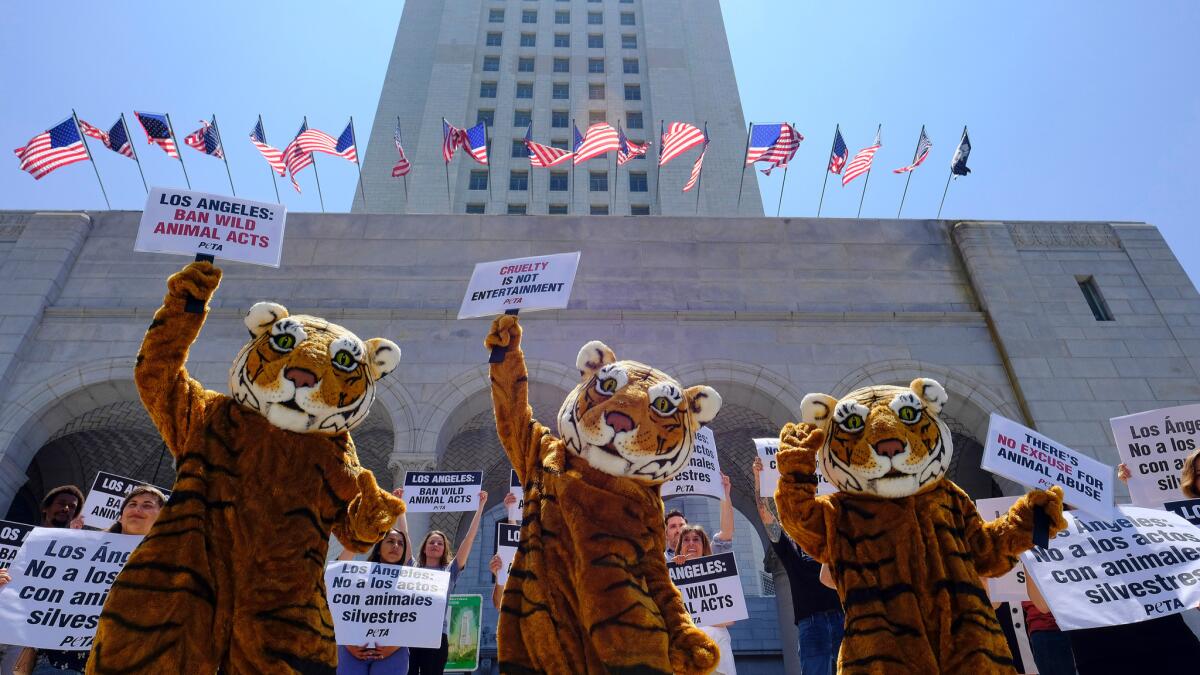 People for the Ethical Treatment of Animals protest at Los Angeles City Hall