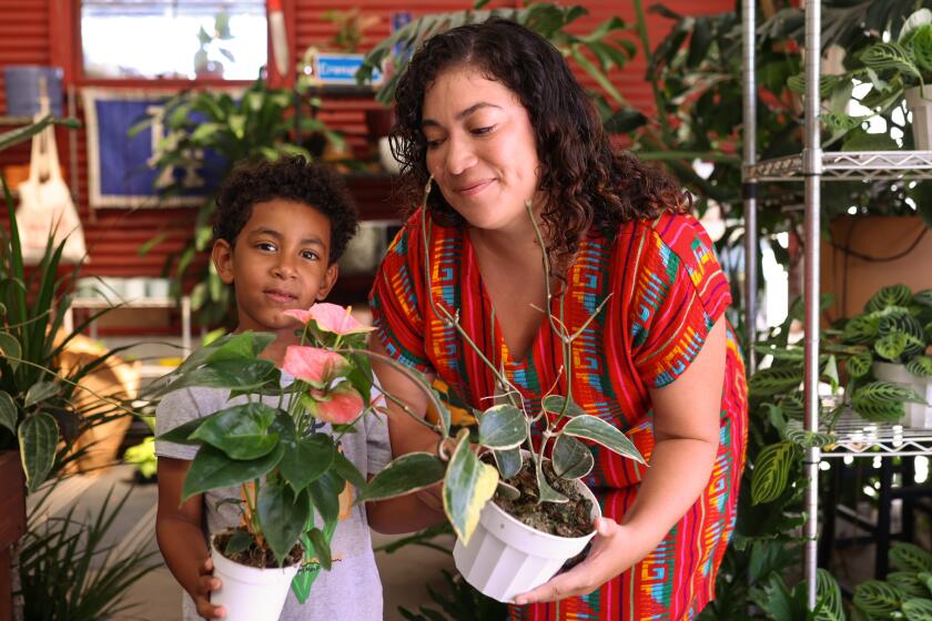 Alem Adis, and Sandra Mejia, hold plants together inside Plant Chica