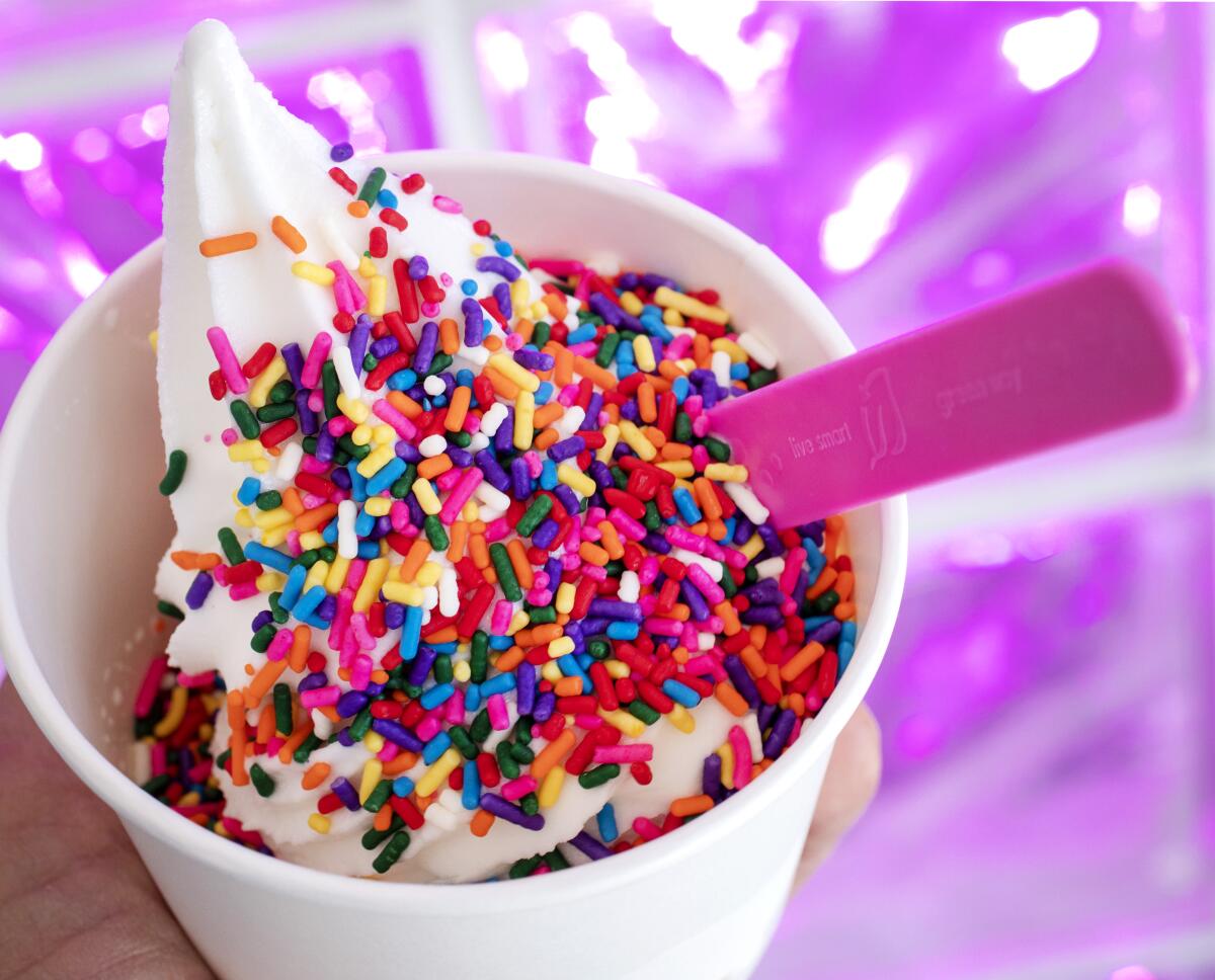 A cup holds a swirl of white frozen yogurt with multicolored sprinkles from the Bigg Chill.