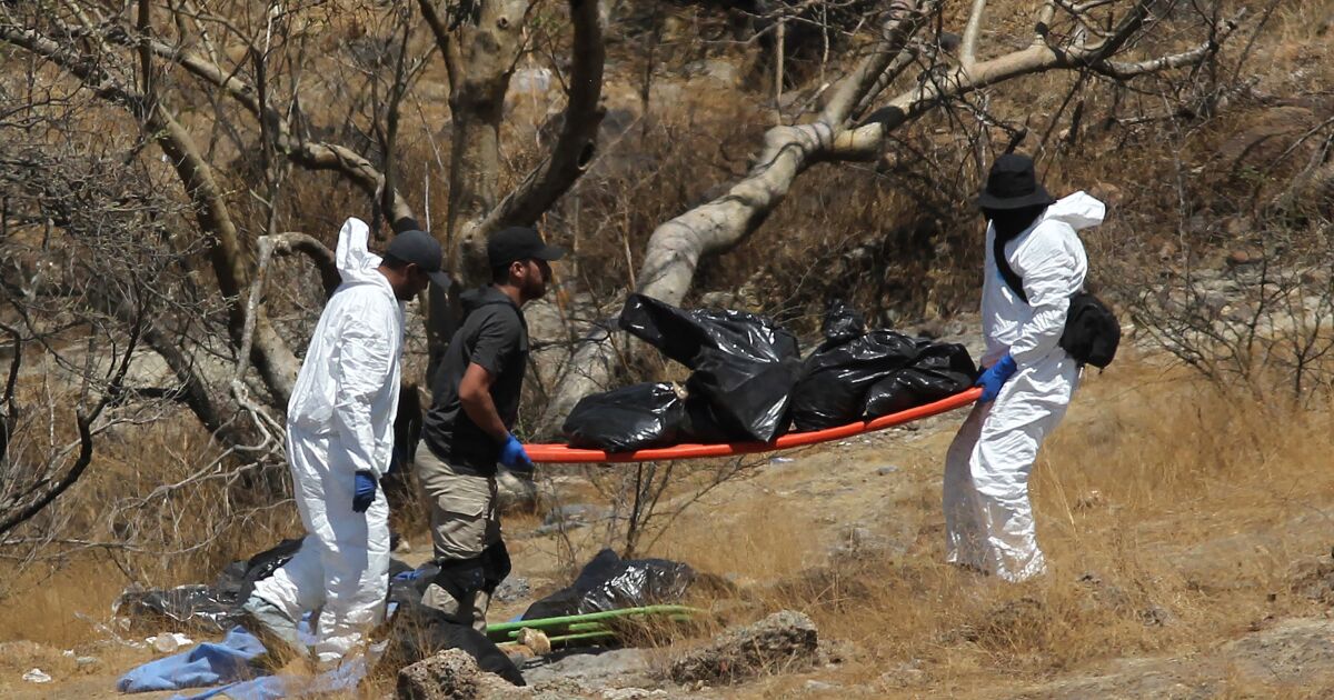 Mexican authorities find 45 bags of body parts outside Guadalajara Mexican authorities find 45 bags of body parts outside Guadalajara