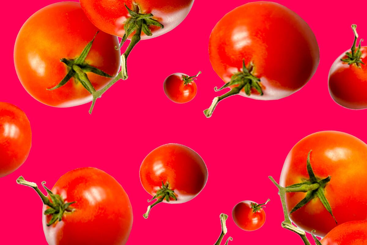 Tomatoes on a red background