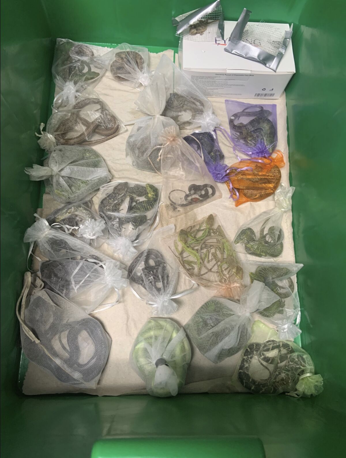 Several snakes and lizards in transparent bags inside a crate