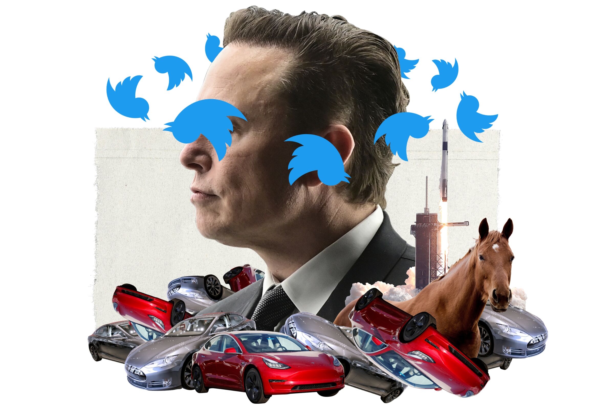 photo illustration of Elon Musk surrounded by twitter birds, tesla cars, a spacex rocket, and a horse.