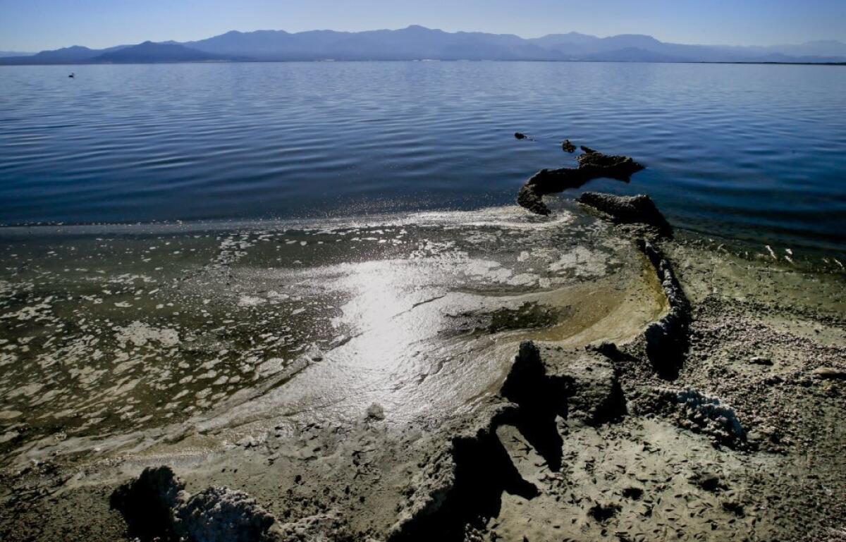 As the Salton Sea has shrunk, exposing previously submerged areas, toxic dust storms have increased in the Coachella and Imperial valleys, and a rotten-egg smell has drifted to much of coastal Southern California.