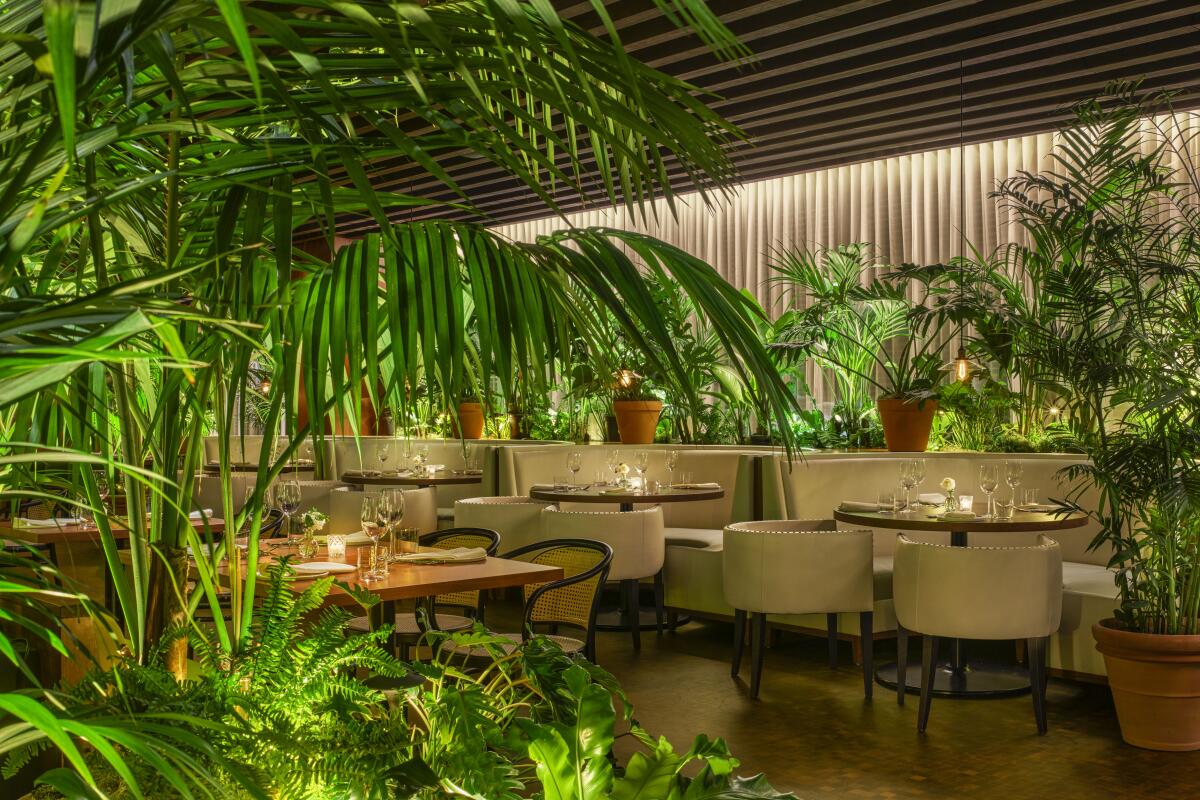 Restaurant tables and chairs and banquettes in a setting that is lush with various types of plants.