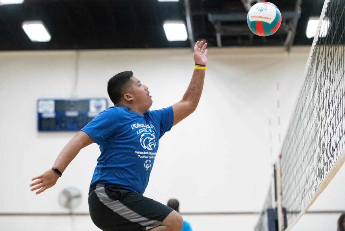 Alex Nguyen of the Laguna Hills Hawks volleyball team leaps toward the net during a rally.