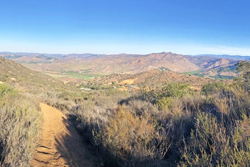 Hikers, mountain bikers and horseback riders can traverse Old Survey Road 97 Trail from 8 a.m. to sunset during the weekends.
