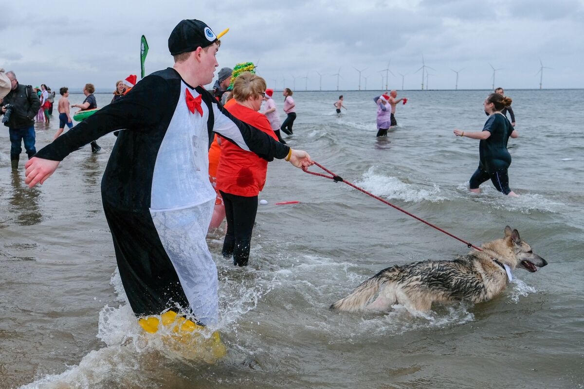 Swimmers brave chilly waters for a Boxing Day dip off Redcar, England.