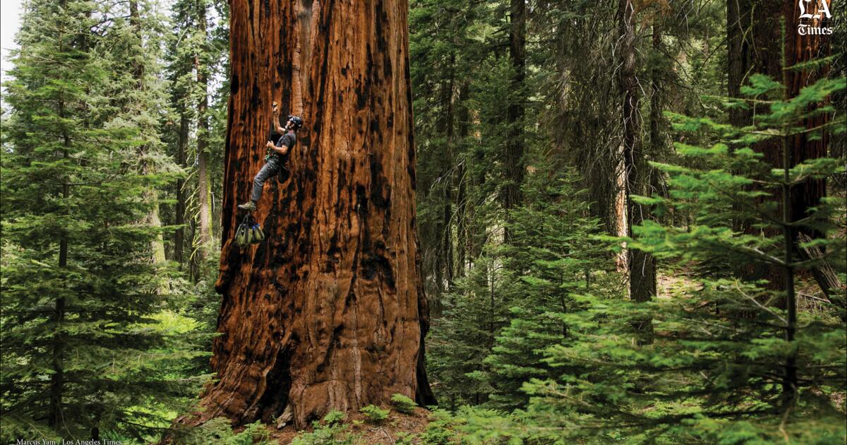 California nears '30x30' conservation goal