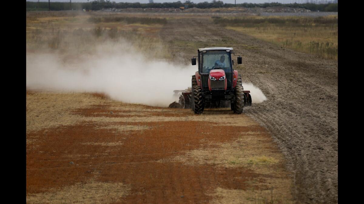 A tractor prepares the Boswell bank by clearing weeds and debris, allowing for better percolation of captured surface water.