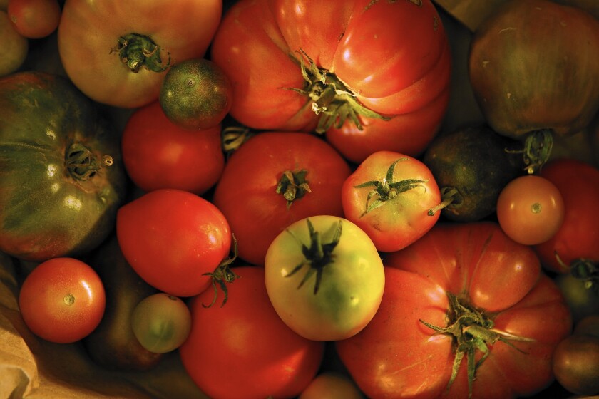 Seasonally popular Tomatomania! sales are scheduled for Southern California.