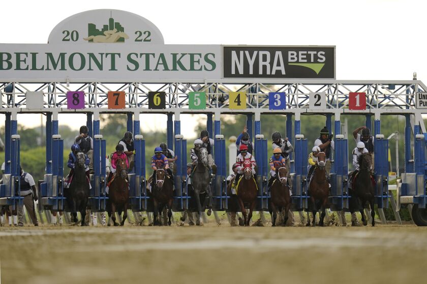 The start of the 154th running of the Belmont Stakes, Saturday, June 11, 2022 in Elmont, New York. (AP Photo/Vera Nieuwenhuis)