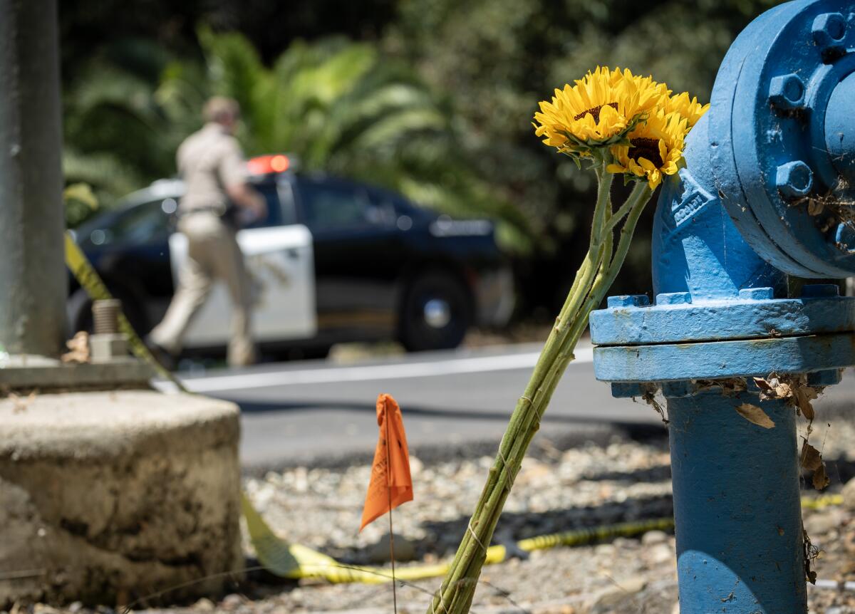 A bouquet of sunflowers leans against a fire hydrant 