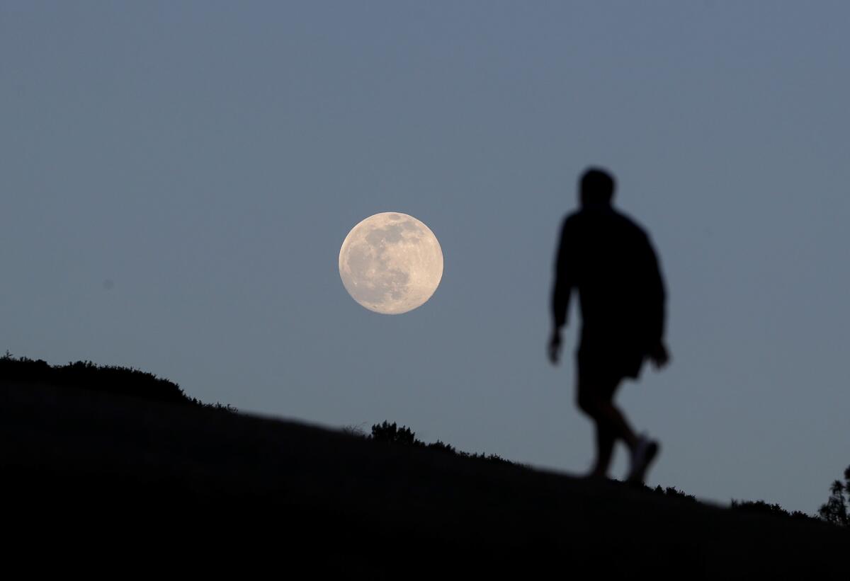 A hiker walks 