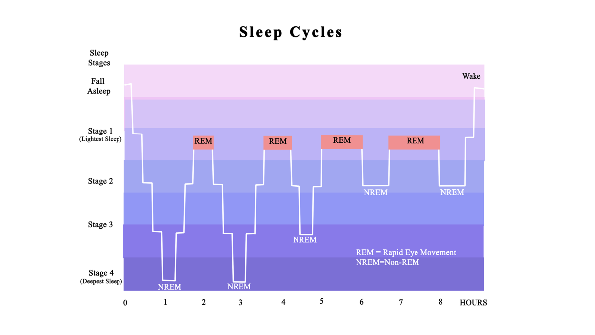 An illustration of REM sleep cycles for optimal sleep nights.
