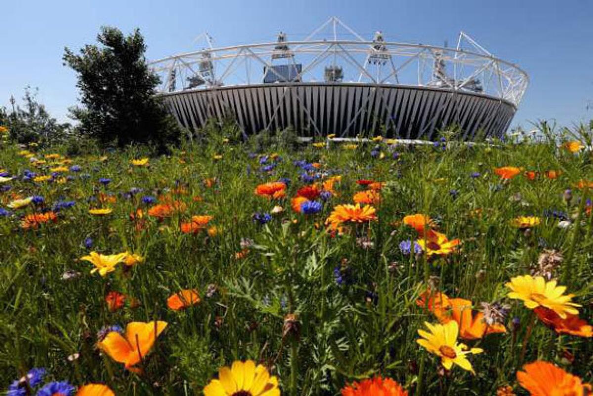 Flowers bloom outside Olympic Stadium.