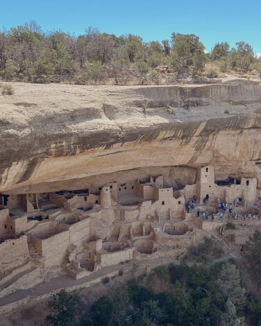 Cliff Palace (as seen from the Cliff Palace Overlook) at Mesa Verde National Park.