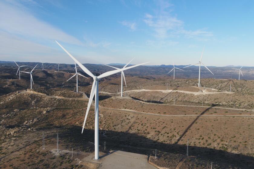 Turbines at the Energia Sierra Juarez wind project operated by Sempra Infrastructure.