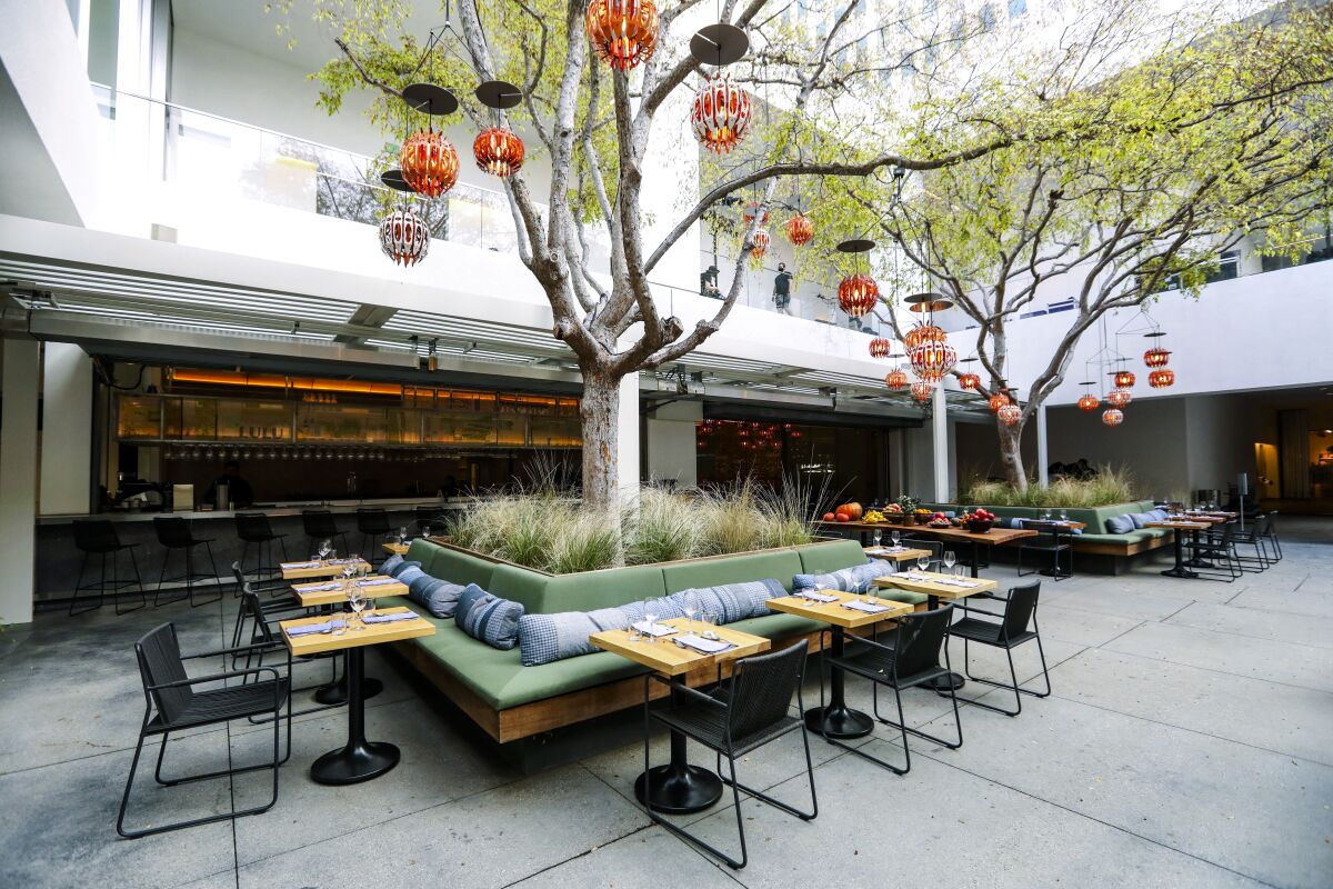 Bench seating with tables surround two trees in a building courtyard.