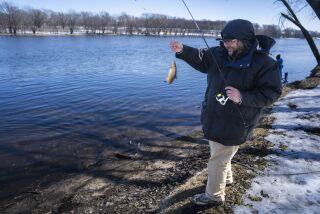 Tyler Abayare pesca una carpa en el Mississippi río abajo de la planta nuclear Xcel Energy en Monticello, Minnesota, 24 de marzo de 2023. (Renee Jones Schneider/Star Tribune via AP)