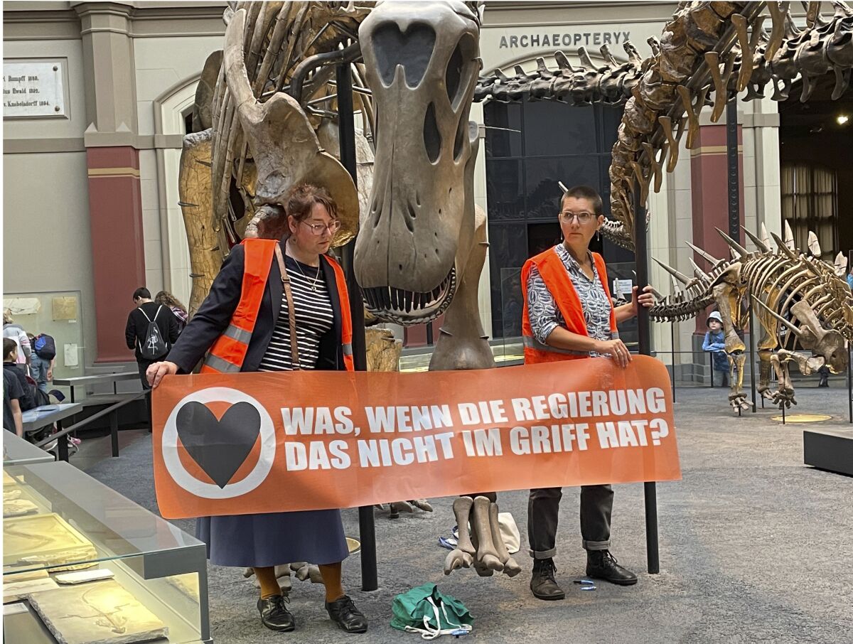 Activistas se pegan a esqueleto de dinosaurio como protesta - San Diego  Union-Tribune en Español