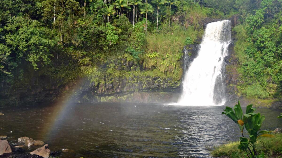 Guests may, with permission, swim in the pond at the base of Kulaniapia Falls, a 120-foot-tall cascade about three miles from Hilo on Hawaii Island.