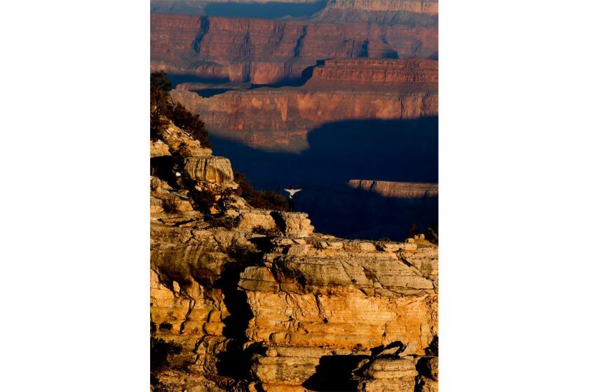 Early morning light is the key to capturing good photos of the Grand Canyon.