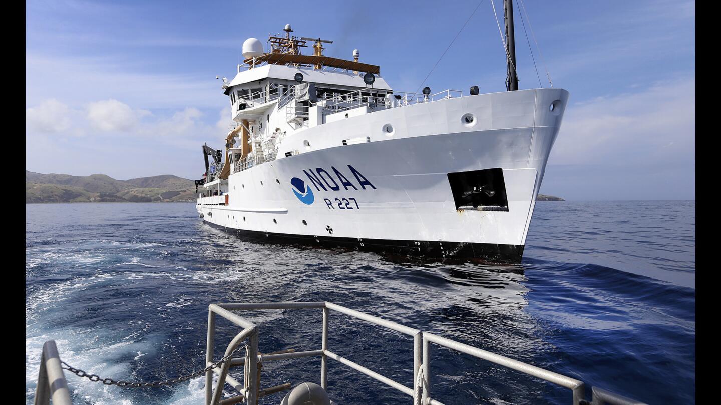 NOAA research ship Bell M. Shimada