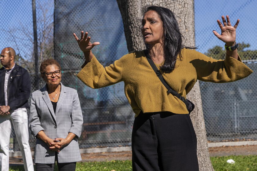 Mithya Raman These candidates for mayor are long shots. But they hope to lead the ...