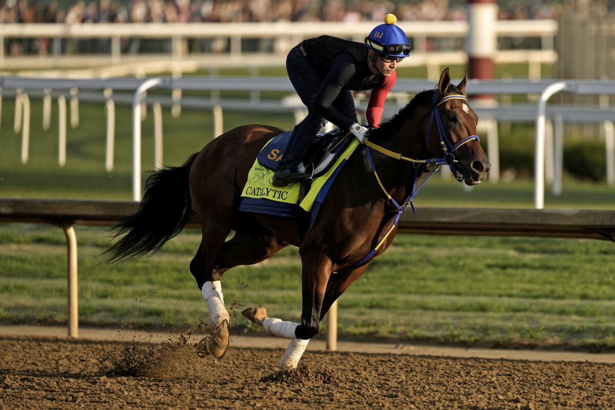 Kentucky Derby entrant Catalytic works out at Churchill Downs