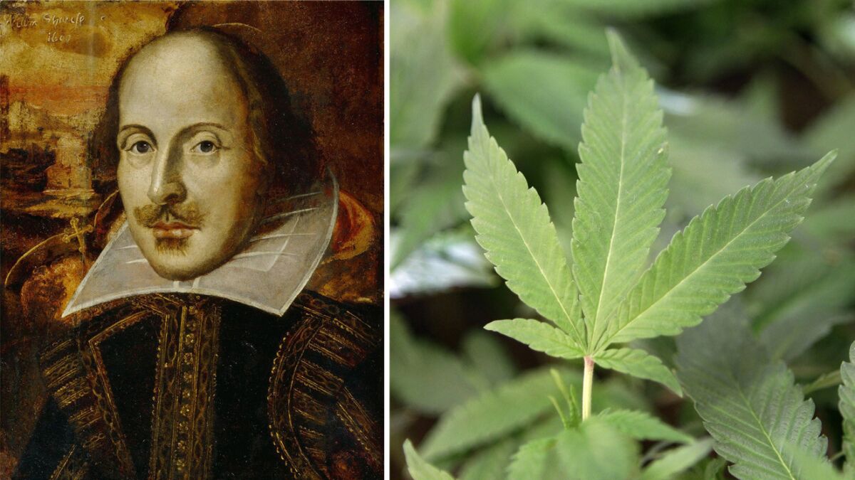 A recently published paper on Shakespeare and his smoking habits suggests that the Bard may used cannabis.