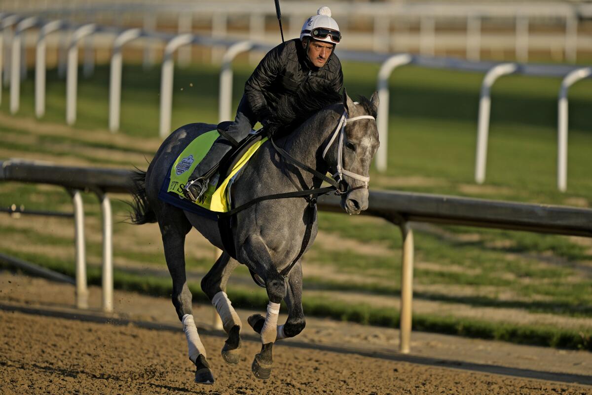 Belmont Stakes entrant Hit Show works out at Churchill Downs on May 2 ahead of the Kentucky Derby.