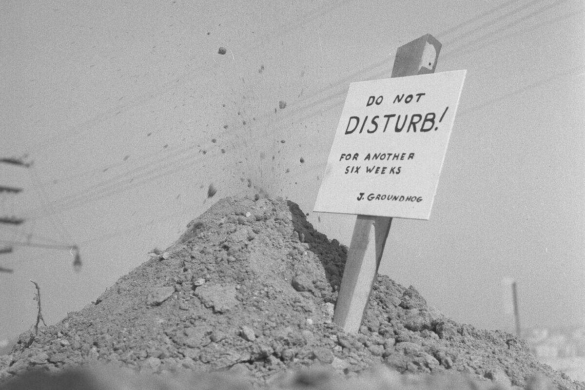 Feb. 3, 1964: A sign from "J. Groundhog."